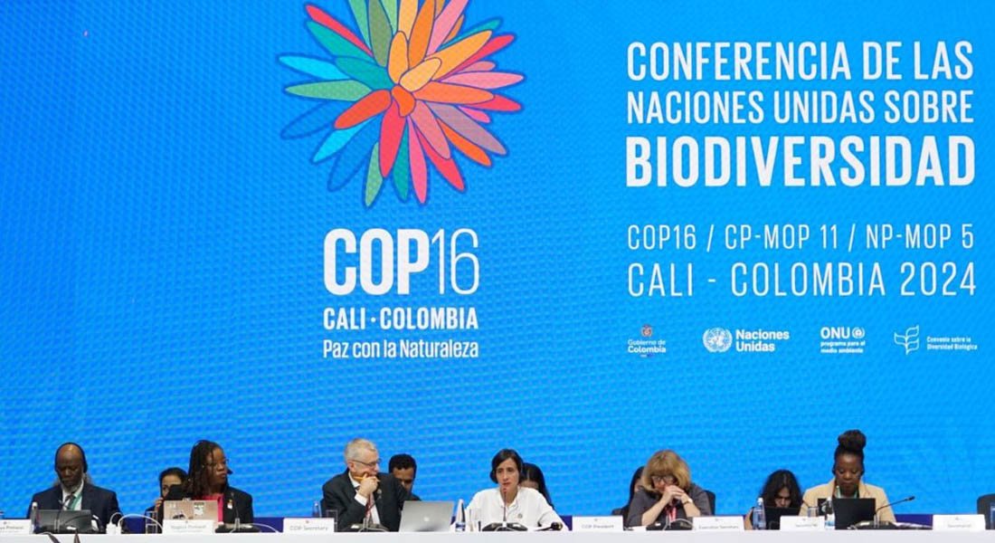 COP16, Pakistan, Biodiversity