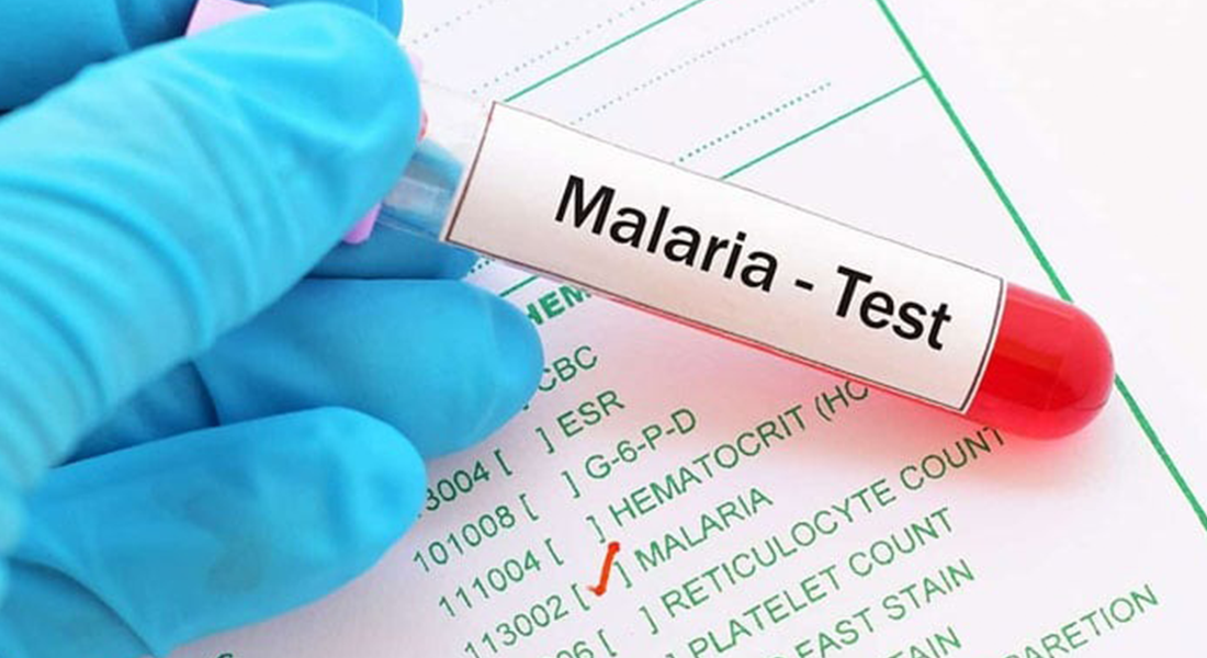 Sindh Malaria cases
