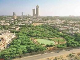 Karachi green space crisis