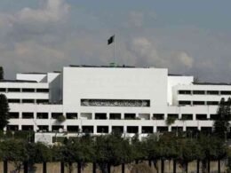 National Assembly Internship Programme 2025