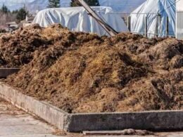 Biogas project Karachi