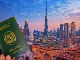 UAE new visa guidelines